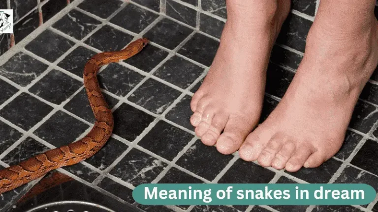 biblical meaning of snakes in a dream