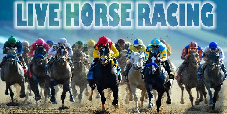Top 5 Free Live Horse Racing Stream Sites Malaysia 2024