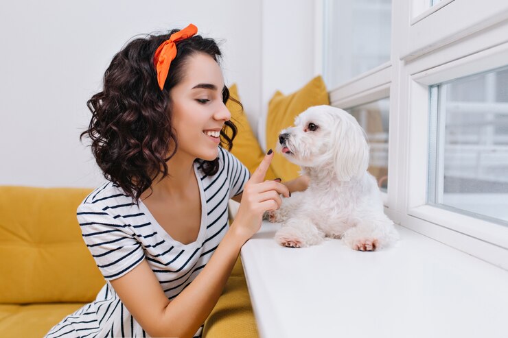 portrait amazing joyful fashionable young woman playing with little dog modern apartment having fun with home pets smiling cheerful mood home 197531 2192